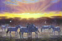 Zebras At Sunset