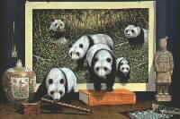Giant Pandas
