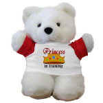 Princess In Training Teddy Bear