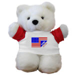 Made In USA Teddy Bear